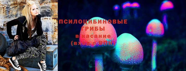 соль курить ск Няндома