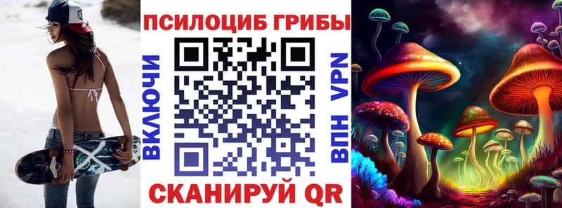 цены Чкаловск Псилоцибиновые грибы ЛСД